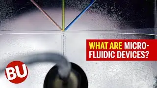 What Are Microfluidic Devices? (Synthetic Biologys Secret Weapon)