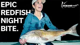 Giant REDFISH (Red Drum) At Night On Live Bait Rigs!!!