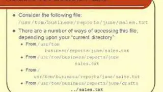 Linux and Unix Basics : Relative vs Absolute Paths