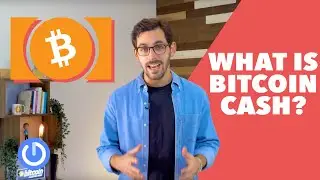 What is Bitcoin Cash? | Cryptocurrency Basics