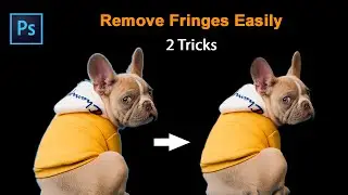 2 easy Techniques to Remove White Edges (Fringes) From Cut-Outs | photoshop Beginner Tutorial