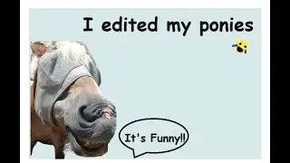 I Edited my Ponies🤣😅