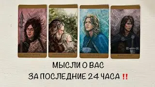 🫅4 КОРОЛЯ - ‼️МЫСЛИ О ВАС ЗА ПОСЛЕДНИЕ 24 ЧАСА‼️четыре короля таро расклад онлайн #tarot #love #4k