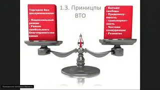 Правила ведения бизнеса в условиях ВТО и торговые споры.