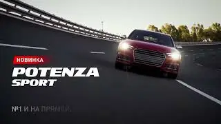 Летние шины Bridgestone Potenza Sport