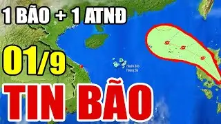 Dự báo thời tiết hôm nay và ngày mai 1/9 | Dự báo thời tiết trong 3 ngày tới #thời tiết