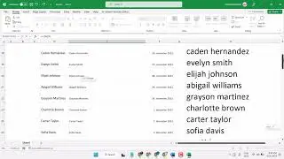 How to Change Capital Letters to Lowercase in Excel