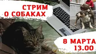 Новости питомника собак РашенДог (RussianDog)