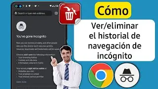 Ver el historial del modo incógnito | Eliminar el historial del modo incognito Android (2023)