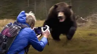 Жуткие Моменты с Животными, Заснятые На Камеру Туристами