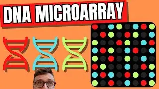 DNA Microarray Technique (DNA Chip)