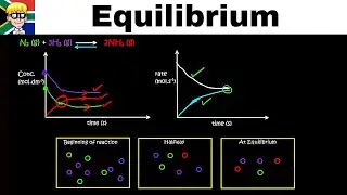 Equilibrium Graphs grade 12: Introduction