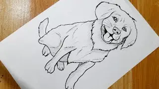 How to Draw a Dog Step by Step