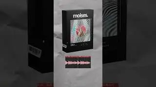 SAMPLER 01 MOISES #loopmaker #loop #free