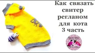 Как связать свитер регланом для кота  3часть