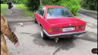 Герман Ягодка нашел БМВ Ваномаса 