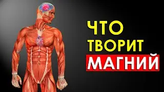 Что Произойдет с Телом Если Принимать Магний? Роль Магния в Организме