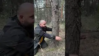 Первое знакомство с пилой струной 