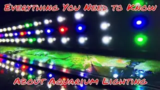 What Light is Best for My Aquarium? A Guide to Understanding Aquarium Lighting