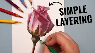 Layering With ONLY 12 Colored Pencils | Polychromos Tutorial