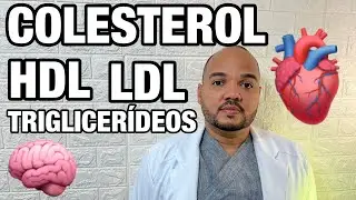 GORDURA NO SANGUE: LDL, HDL E TRIGLICERÍDEOS! O que é Colesterol total e frações?