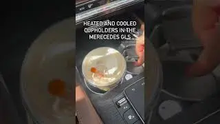 HEATED AND COOLED CUPHOLDERS IN THE GLS