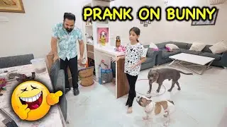 PRANK on My Dog Bunny 😂