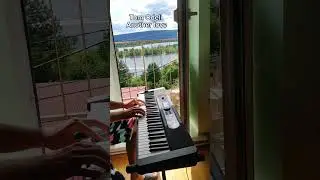 Tom Odell Another love on piano (keyboard)на пианино 🎹Cover