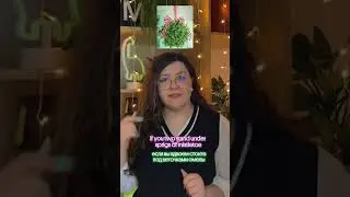 Кого поцелуешь под омелой? Пиши в комментах 