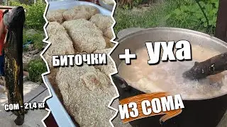 СОМ 21 кг. Уха Зразы из сома. Готовим на костре.