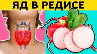 Что ТВОРИТ с организмом РЕДИСКА?! Вред и польза РЕДИСА