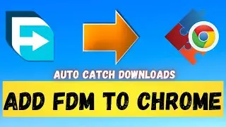 How to Add FDM(Free Download Manager) Extension to Google Chrome