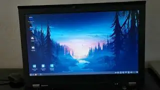 starting up Lenovo Thinkpad T430s with SSD and dual channel RAM on Linux Mint