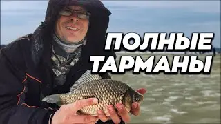 Ловля крупного карася весной на мормышку, последний лед. Тарманы, Тюмень. Рыбалка 2022