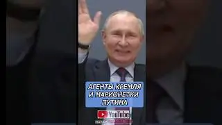 Путин и французы. Как так?