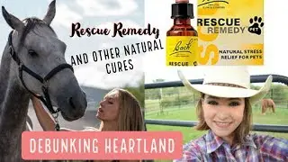 Debunking Heartland 