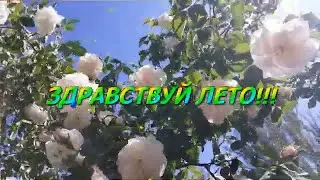 С ДОБРЫМ УТРОМ , ДРУЗЬЯ! С НОВЫМ ЛЕТНИМ ДНЕМ! Красивое музыкальное видео