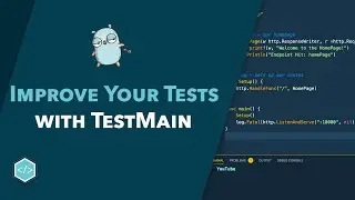 Improve Your Go Tests with TestMain