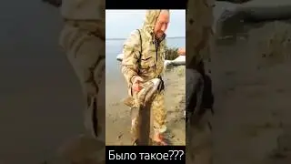 #shorts ПОЙМАЛИ ОГРОМНУЮ ЩУКУ НА СПИННИНГ А У НЕЕ В ГЛОТКЕ ЕЩЕ ОДНА ЩУКА! ОГРОМНАЯ ЩУКА! ЩУКА ОСЕНЬЮ