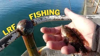 LRF Fishing With Lures | Weymouth