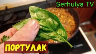 Purslane plant. Портулак. Как приготовить. Полезно и вкусно. SerhulyaTV