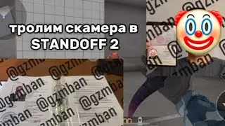 тролю скамера в Стандофф 2🤣🤭