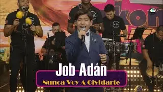 Job Adán - Nunca Voy A Olvidarte