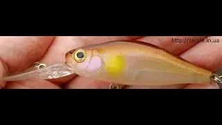 Daiwa TD Crank Scouter - Action Test