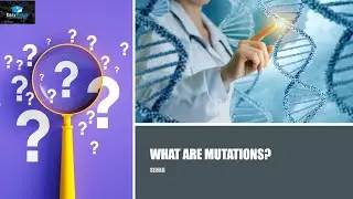 What Are Mutations and Why They're So Interesting