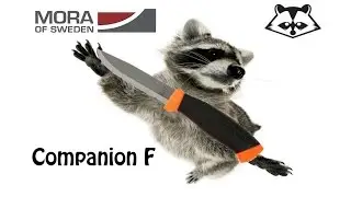 Mora Companion F: беглый обзор и мое мнение.