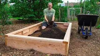 How to Build a Raised Bed CHEAP and EASY, Backyard Gardening