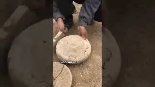 Secret Ancient Technique of Preserving Food