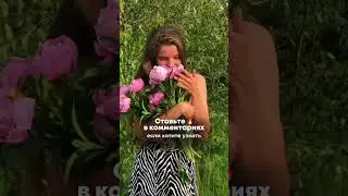 Наберём 100+🔥 в комментариях, если хотите узнать 5 ошибок в поиске клиентов на дизайн 