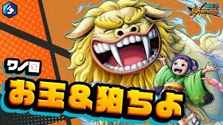 『ONE PIECE バウンティラッシュ』ワノ国 お玉＆狛ちよ